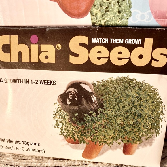 Limited Sanrio Hello Kitty Chia Pet Pink, Terracotta Planter. NEW - Picture 6 of 11